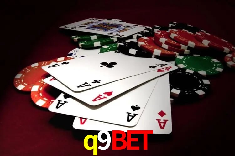 Interface Premium q9bet
